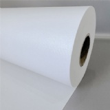 Eco-solvent matte Glitter canvas 240g
